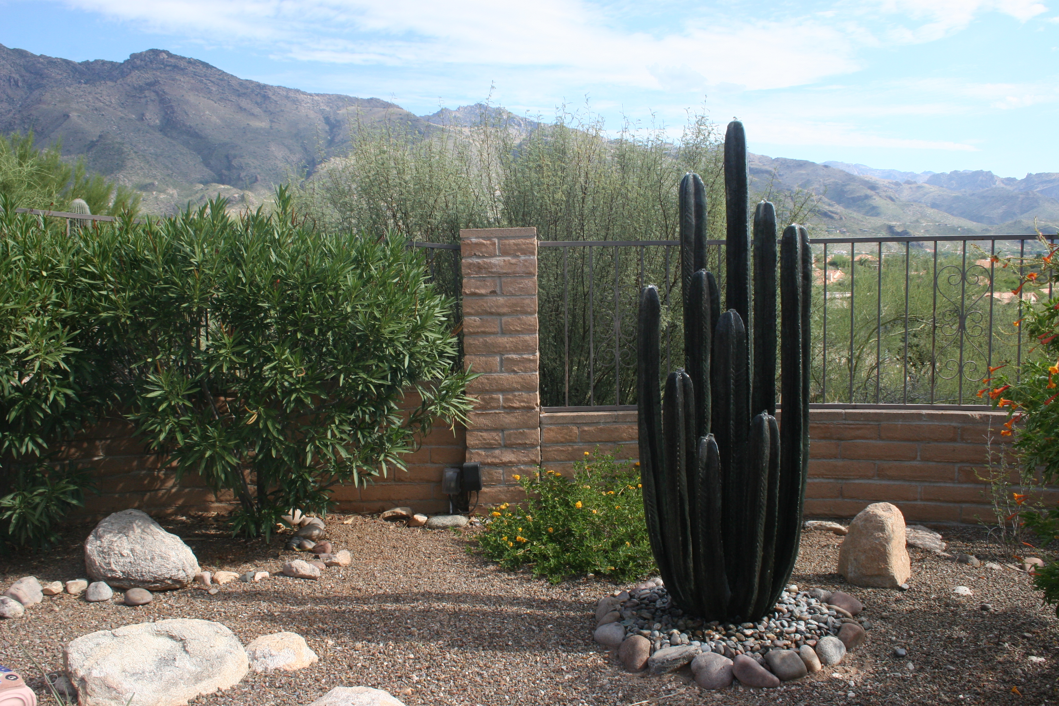 Stone Cactus with Mountain View